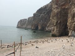 -海驴岛(荣成市)