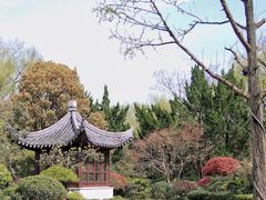 -杭州西子湖四季酒店-WL BISTRO西湖餐厅(灵隐路店)