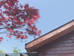 -花味·自助烤肉(雨花客厅店)