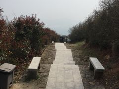 -缥缈峰景区