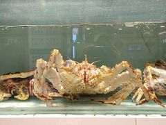 -万龙洲海鲜(大兴绿地缤纷城店)