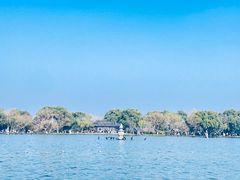 -家烧面馆【南山路知名经典面食】
