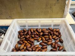 -老姑砂锅·烧烤天津菜(体北道店)