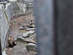 -捷克克鲁姆洛夫城堡