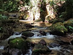 -莫里热带雨林景区