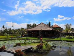 -Bebek Joni Restaurant