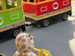 -南通洲际绿博园