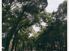 -四川大学(望江校区)