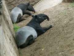 -辛玛王国游乐园