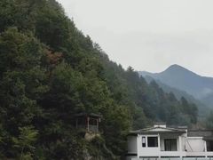 -牛背梁国家森林公园