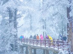 -瓦屋山景区