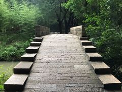 -同里国家湿地公园