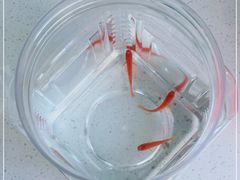 -T-COFFEE(长江花园店)