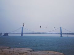 -星海湾跨海大桥