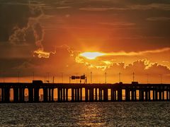 -宝安西湾红树林湿地公园