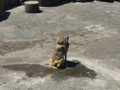 -宁波野生动物园