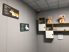 -半岛宠物医院24小时(科华中路店)
