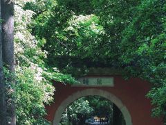 -灵谷景区