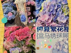 -盒马鲜生(岭南新世界店)