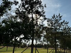 -汉长安城未央宫国家考古遗址公园