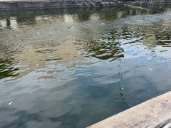 -DGE季风钓虾营地·团建·聚会