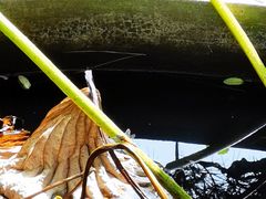 -葛子涧农家宴