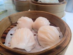 御口福虾饺皇-御口福·廿八年经典粤菜·驰名烧鹅 (远景路店)