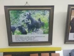 -陈记贵州遵义羊肉粉·酸汤鱼(法华镇路店)