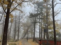 -阳台山自然风景区