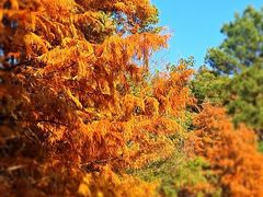 -南京市无想山景区