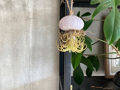 -HAPPEN(江川东路店)