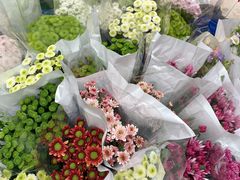 -循礼门鲜花花市(武汉循礼门店)