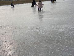 -绿野森林乐园冰雪季