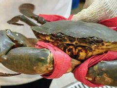 -喜记避风塘炒辣蟹(旗舰店)