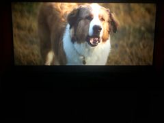 -中影新星影城(万科锦程店)