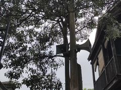 -观澜湖华谊冯小刚电影公社(百年记忆公社)
