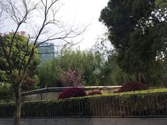 -宝大祥青少年儿童购物中心(南京东路店)