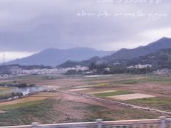 -大亚湾红树林城市湿地公园