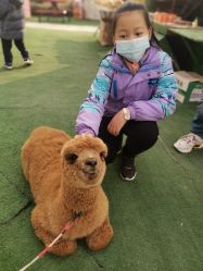 -萌宠亲子动物乐园(槐房万达店)