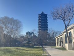 -博雅塔