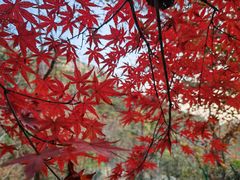 -崂山巨峰游览区