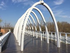 -大兴滨河森林公园