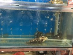 -芽庄老成都川菜馆