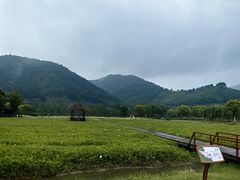 -径山花海