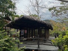 -海南槟榔谷黎苗文化旅游区
