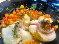-京门活鱼馆·鱼火锅(百子湾（原红庙）店)