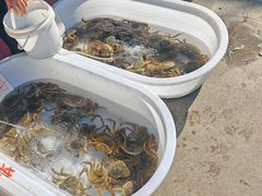 -上海龙吴水胜海发市场