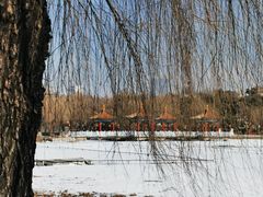 -长春市南湖公园