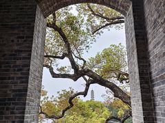 -江心屿景区
