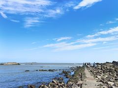 -海合安青岛极地海洋公园